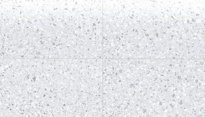 Obraz premium White Terrazzo Tile Texture with Micro Flecks