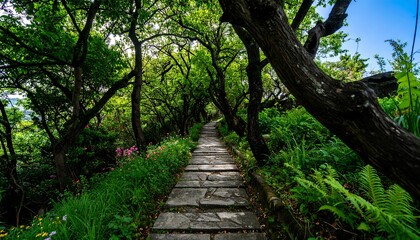 Enchanting woodland path leads through the vibrant green forest canopy