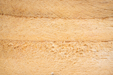 Mango wood texture top view. Kitchen wooden tray background, organic Mangifera indica veneer