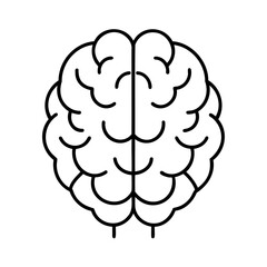 Vector Illustration Of Human Brain