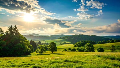 Fototapeta premium Lush green meadow landscape at sunset