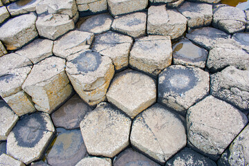 Giant's Causeway in Northern Ireland. Rock formations and basalt hexagonal columns on Coast of Atlantic Ocean near Bushmills