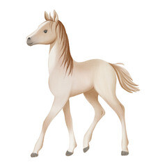 Watercolor illustration of a light beige foal with soft shading and delicate details. Perfect for children’s books, posters, cards, and nursery decor.