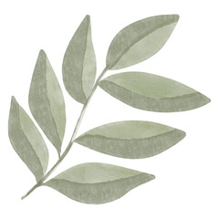 A branch with elongated leaves, drawn in a soft watercolor style, minimalistic and natural. Perfect for autumn designs, wedding invitations, eco-projects, fabric prints, and stationery.