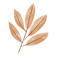 A branch with elongated leaves, drawn in a soft watercolor style, minimalistic and natural. Perfect for autumn designs, wedding invitations, eco-projects, fabric prints, and stationery.