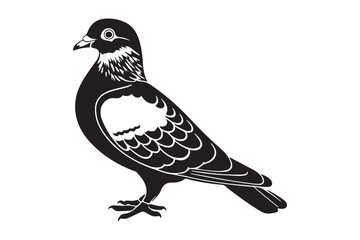 Black and white illustration of a pigeon standing