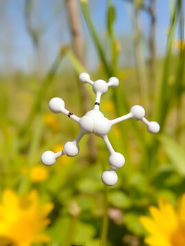 Dicyandiamide (2-cyanoguanidine, DCD) molecule. Used as fertilizer and in chemical synthesis. Skeletal formula.