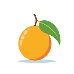 Stylized ripe orange citrus fruit with a green leaf and stem vector illustration