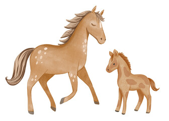 Horse with foal illustrated in soft watercolor style, gentle and tender composition. Perfect for children’s books, nursery decor, prints, and educational projects.