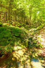 Stream landscape in the Haut Languedoc region of southern France. Small waterfalls and water running through the forests of Hérault.
