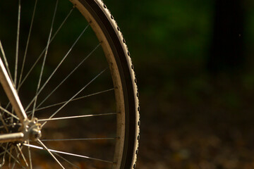 A detailed view of a bicycle wheel outdoors, highlighting the spokes and tire tread amidst a...