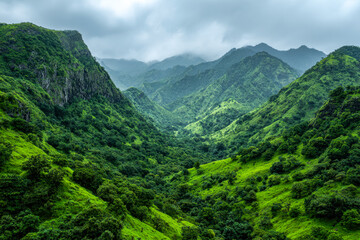Naklejka premium Lush green mountains and misty valleys in a tropical rainforest