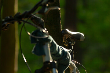 A close-up of a bicycle leaning against a tree, captured in soft forest light. The serene setting invites outdoor adventure and exploration.
