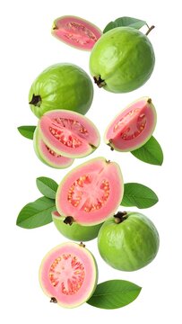 Fresh guava fruits and slices in mid-air, showcasing vibrant pink flesh and lush green leaves against a pure white background.