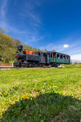 Old steam train standing on the grass in Viglas, Slovakia