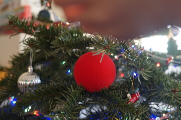 A Beautiful Festive Red Ornament Hanging on the Christmas Tree