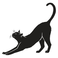 Cat stretching