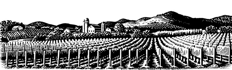 Fototapeta premium Vineyard with buildings in a woodcut style, in black and white, representing traditional winemaking.