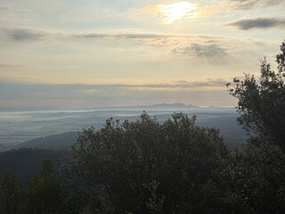 Beautiful green forest coastal landscape in a sunrise sky in Costa Brava, Catalonia