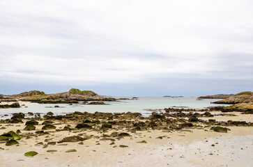 Low tide beach on the Isle of Mull with seaweed-covered rocks and sandy stretches. Rugged and natural Scottish coastline under cloudy skies.