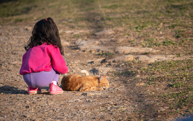 little girl playing with cat