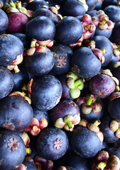 Costa Rica fruit at a fruit stand