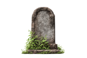 Weathered Tombstone with Overgrown Vines on Transparent Background