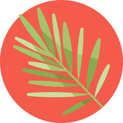 Icon of an areca palm leaf with long, slender fronds fanning outward.