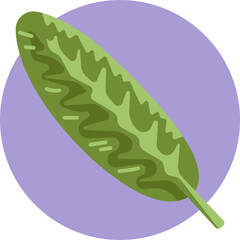 Icon of an Aglaonema leaf, a tropical plant known for its broad, patterned foliage.