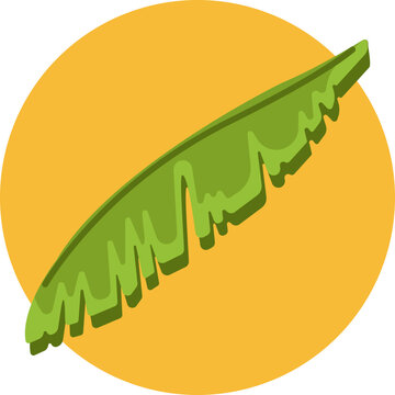 A large, elongated tropical leaf with pointed tips, characteristic of the Bird of Paradise plant.