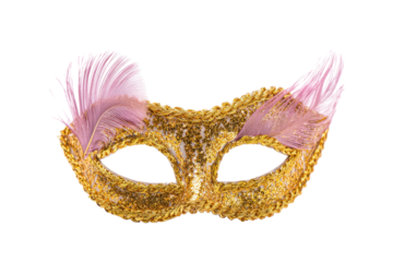 Gold Glitter Masquerade Mask with Pink Feathers