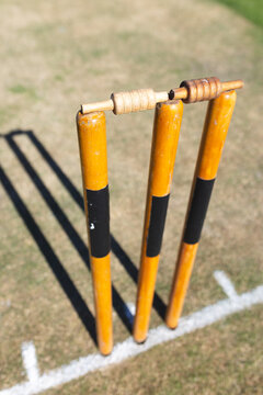 Wooden cricket stumps standing on patchy grass pitch under sunlight, casting long shadows
