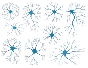 Illustration of various neuron structures