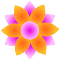 yellow flower on white background