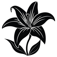 easter lily vector illustration