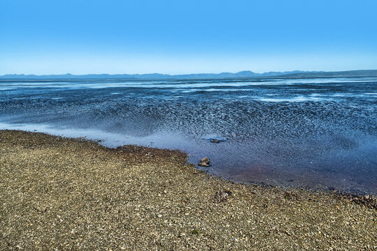 Ripples on the sea surface (crenulation) due to an onshore crosswind (a gust of wind, ground swell), then smooth water over the kelp forest. The Sea of Japan littoral