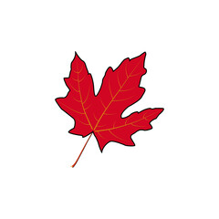 Red Maple Leaf Vector Clipart
