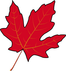 Obraz premium Red Maple Leaf Vector Clipart