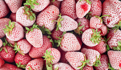 Top view of frozen strawberries as background. Pile of frozen strawberries.