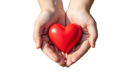 Isolated Red Heart in Hands