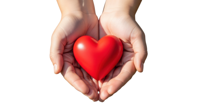 Isolated Red Heart in Hands