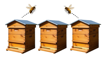 Isolated Beehives with Bees