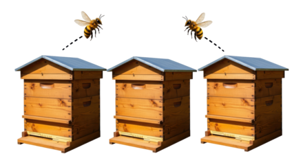 Isolated Beehives with Bees