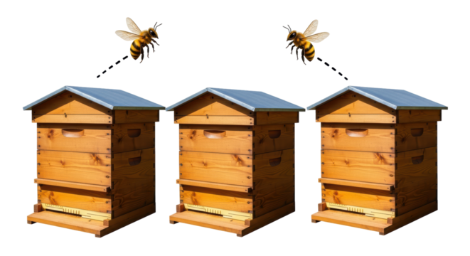 Isolated Beehives with Bees