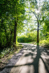 A peaceful paved path winds through a sun-dappled forest in Waukesha County, Wisconsin, on a September morning.