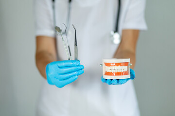 Dentist showing dental tools and model of teeth in a clinic during a routine check-up