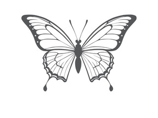 Amazing Butterflyt icon.eps