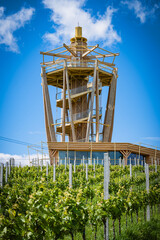 Beautiful wooden lookout, the highest point of Medimurje region mountains, rising above wonderful vineyards in continental Croatia