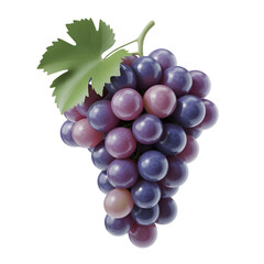 Fototapeta premium Purple Grapes Bunch with Leaf 3D Realistic Vector Illustration Isolated on Transparent Background. Grapes PNG, Grape Png Icon, Adobe illustration.