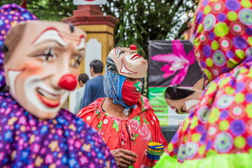 Danzantes en la Fiesta Patronal de San Jerónimo en Coatepec, Veracruz.